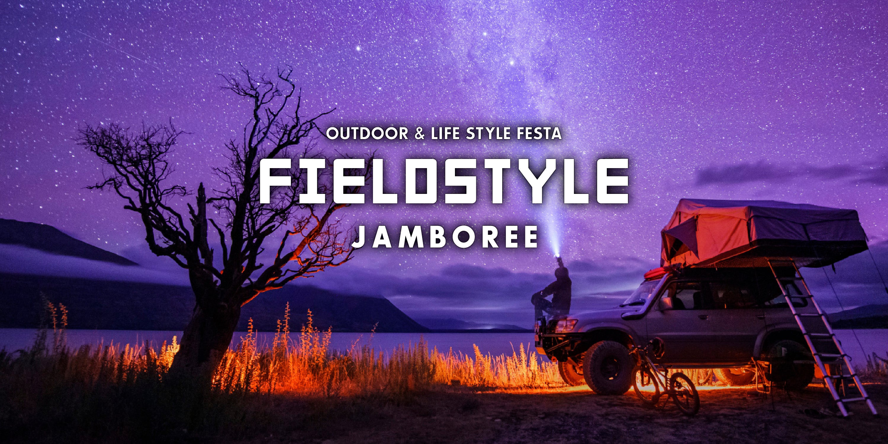 FIELDSTYLE