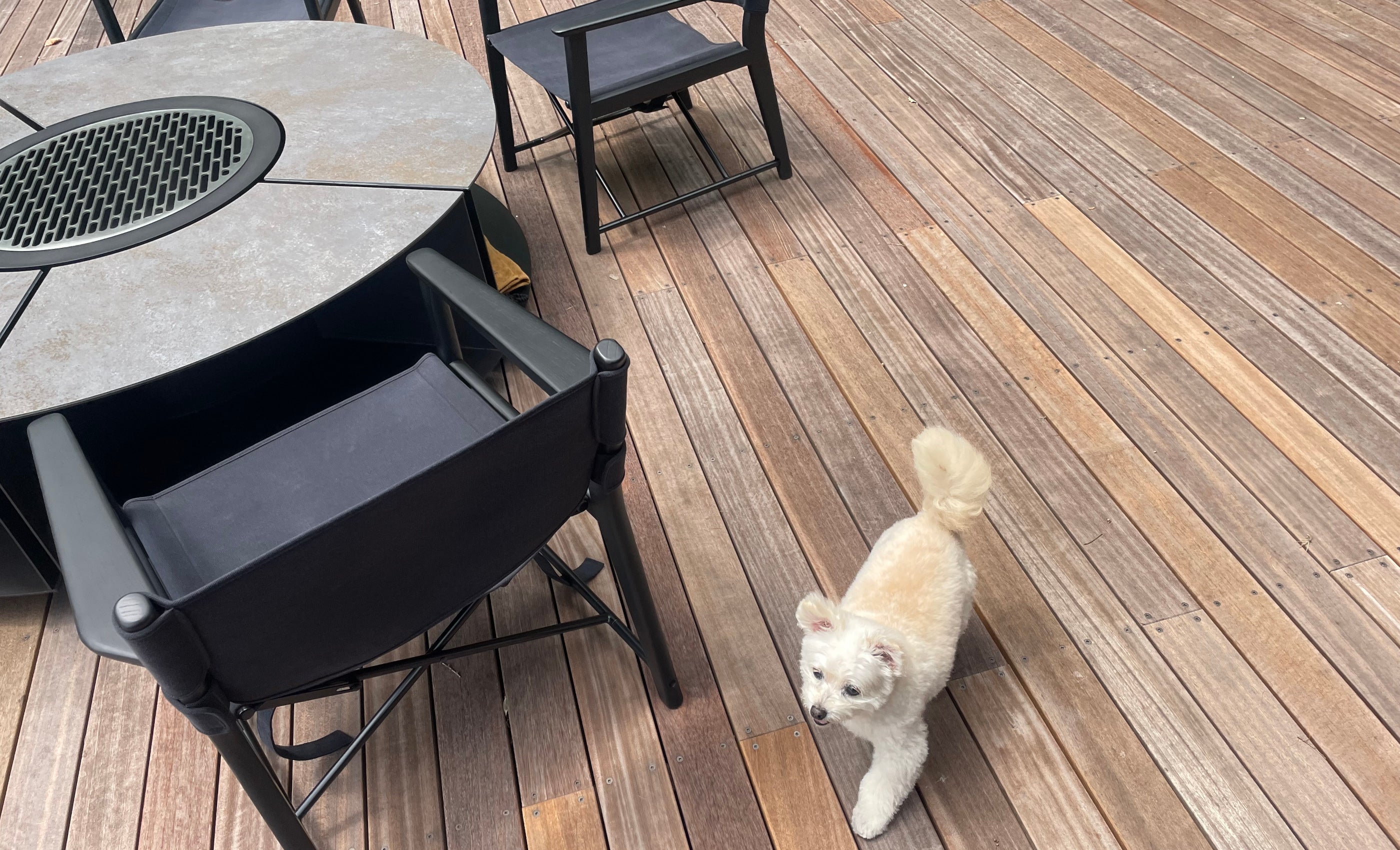 大型焚き火台とわんちゃん